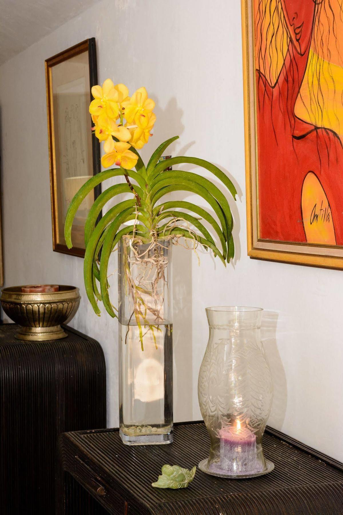 Mynt Retreat Bed & Breakfast Montego Bay Luaran gambar