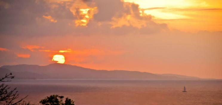 Mynt Retreat Bed & Breakfast Montego Bay Luaran gambar