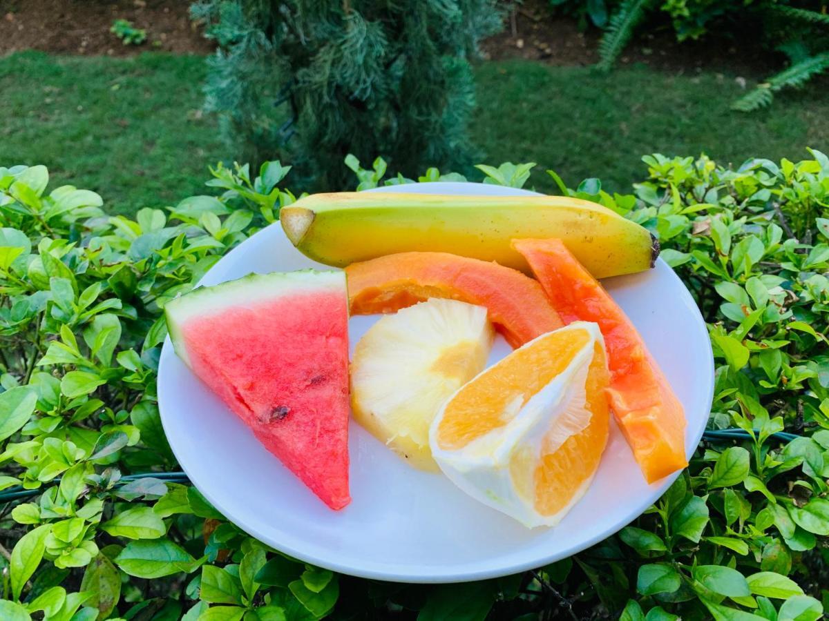 Mynt Retreat Bed & Breakfast Montego Bay Luaran gambar